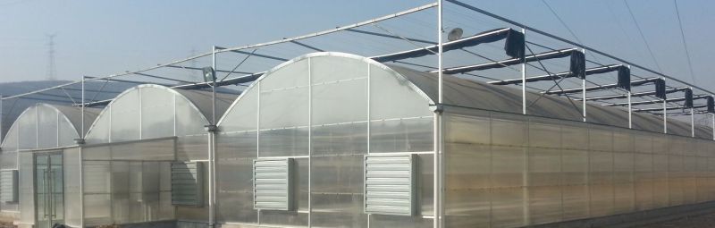 Commercial and Multi-Span Tunnel Greenhouse