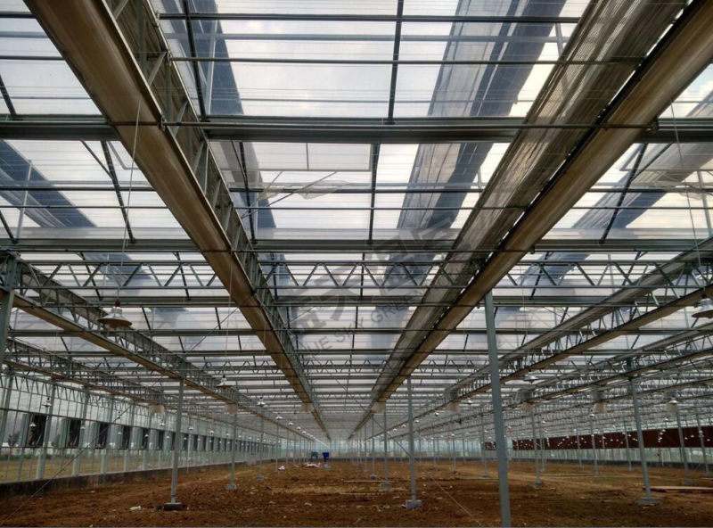Durable Multi-Span Glass Green House with F-Clean Film Roof
