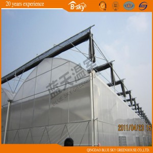 Film Roof Greenhouse with Polycarbonate Sheet Wall