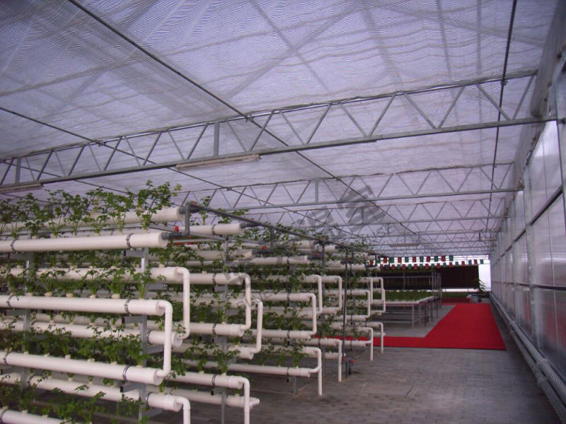 China Supplier Polycarbonate Sheet Green House for Planting Vegetables