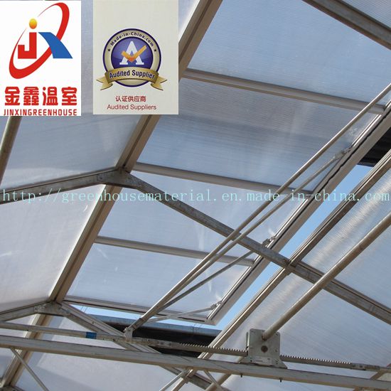 Glass Greenhouse Used for Flower Growing with Steel Structure
