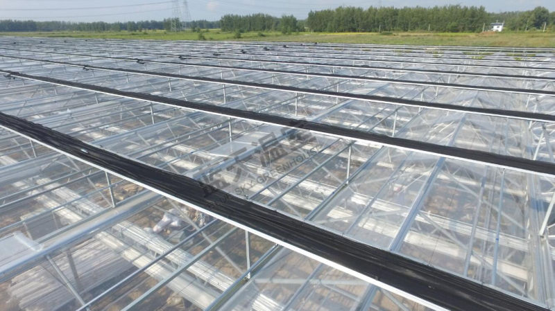 High Light Transmittance Long Life Span Glass Green House