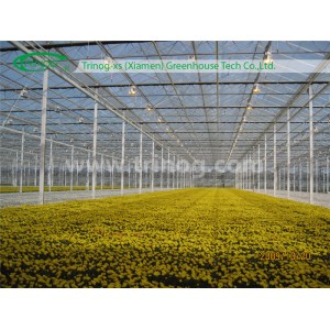 Industrial Glass Greenhouse for Flowers