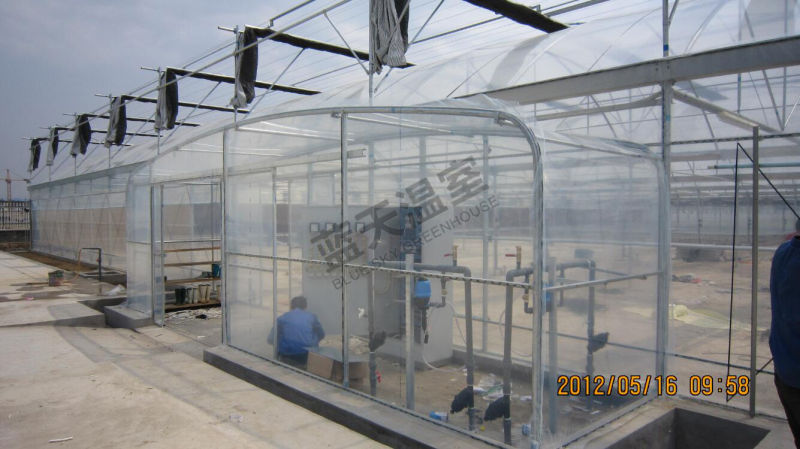 Good Heat Insulation Performance Film Greenhouse for Seeding