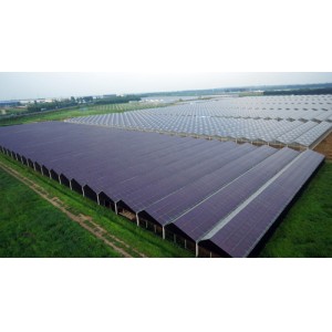 Photovoltaic Greenhouse for Vegetable and Flowers Growing