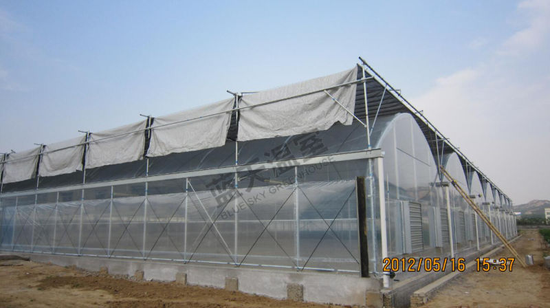 Hot Sale Film Greenhouse Multi-Span Style