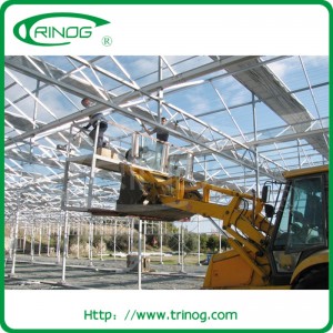 Russia market glass greenhouse with strong structure