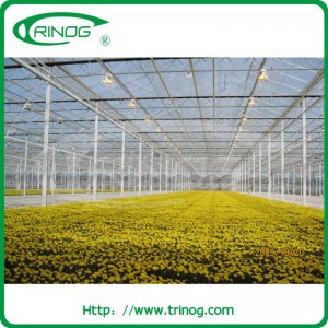 Highly safe glass greenhouse for tomato