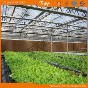 High Cost Performance Film Roof Glass Wall Greenhouse for Planting Vegetables