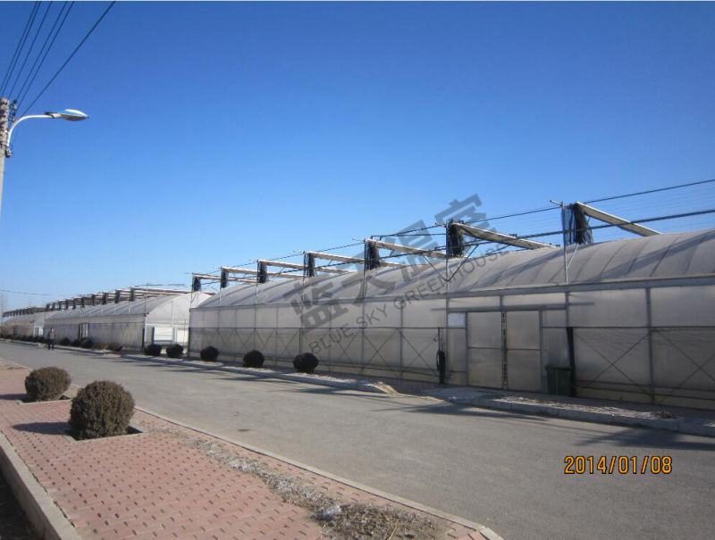 BS-Fgh-069 Plastic Film Greenhouse