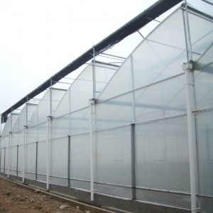 Zigzag Roof Film Greenhouse Fz90f40