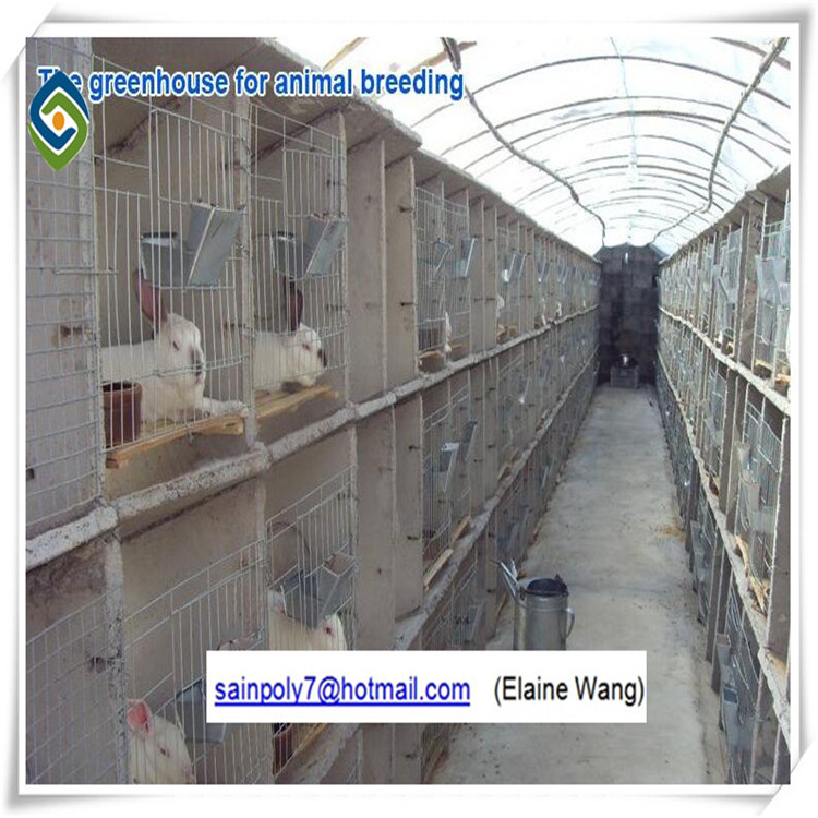 Agriculture Plastic Film for Greenhouse