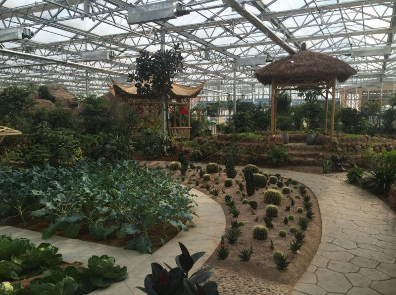 Polycarbonate Sheet Green House