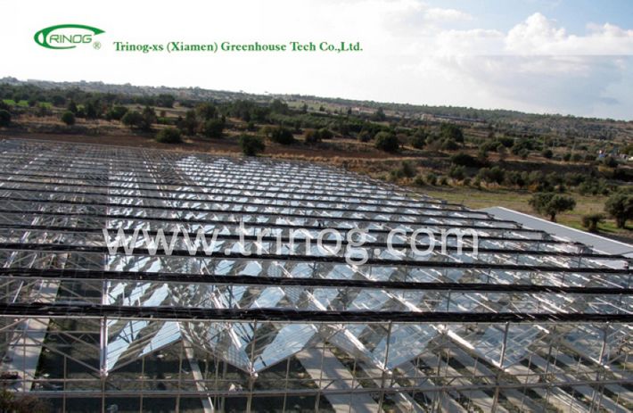 Industrial Glass Greenhouse for Flowers