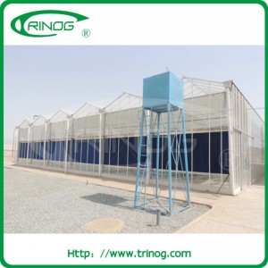 Machine installed high tech glass greenhouse for large size