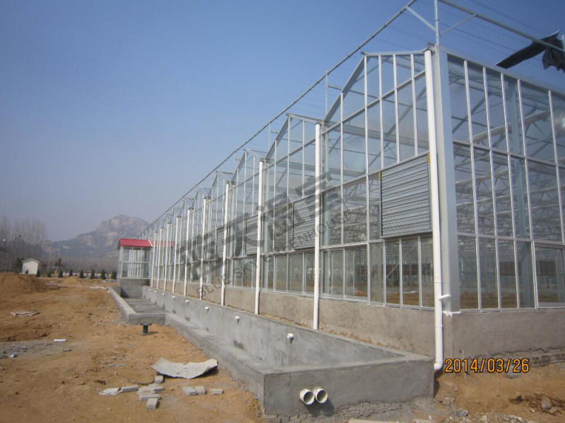 PC Boasrd Green House