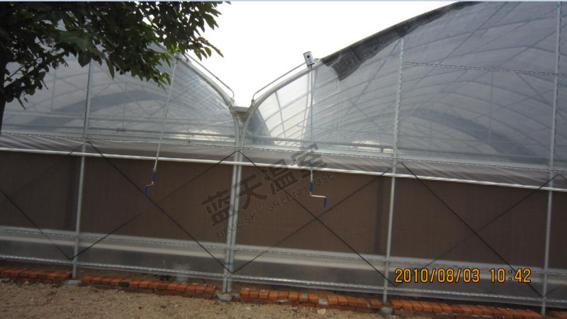 High Cost Performance Plastic Film Greenhouse with Auto environmental Control System
