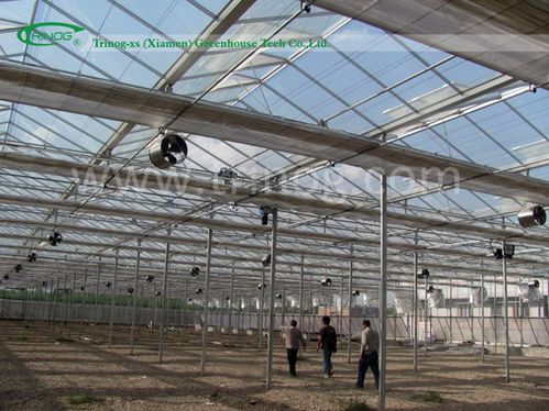 Industrial Glass Greenhouse for Flowers