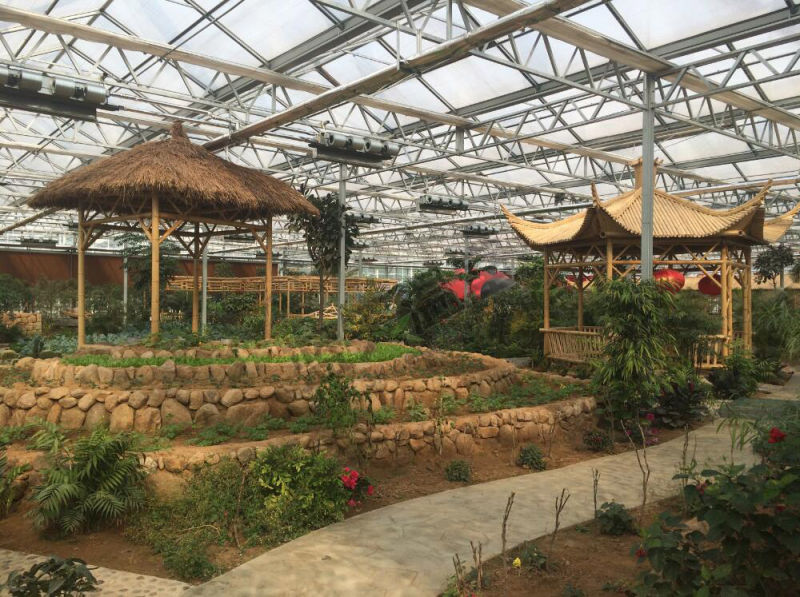 PC Shteet Greenhouse