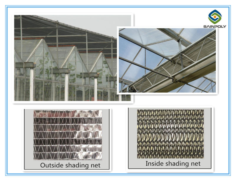 Sainpoly Brand Best Selling PC Greenhouse for Vegetable