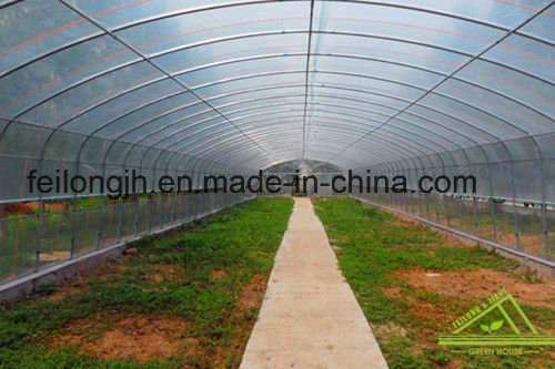 Single Span Tunnel Film Greenhouse