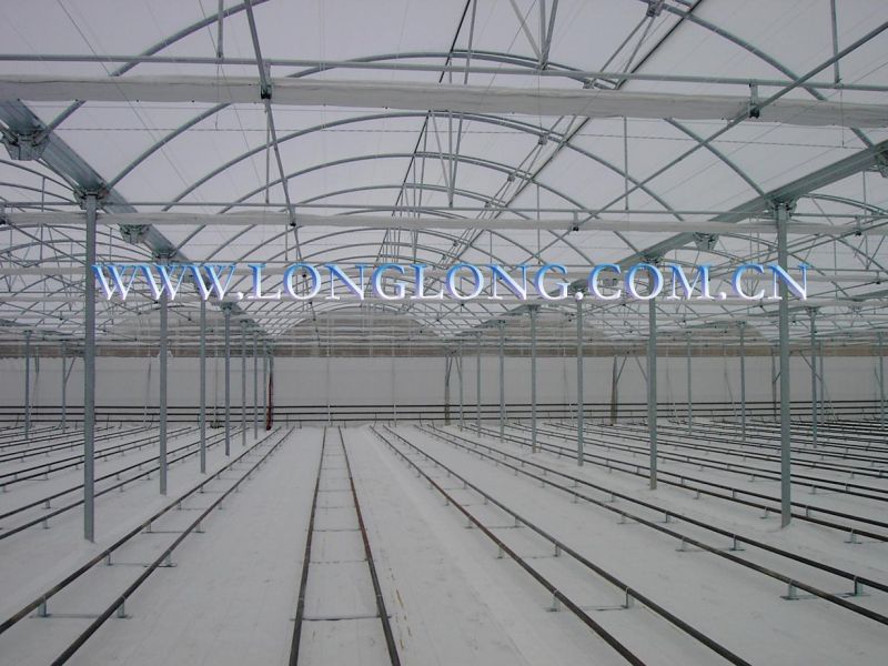 High Quality Greenhouse Steel Structure with 275G/M2 for Long Life Guarantee
