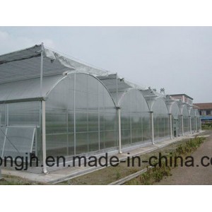 Multi-Span Arch PC Greenhouse Cheap