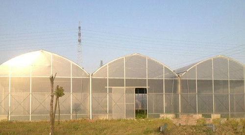 Multi-Span Arch PC Greenhouse Cheap