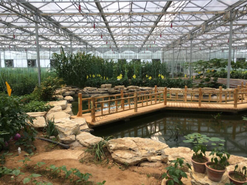 PC Shteet Greenhouse