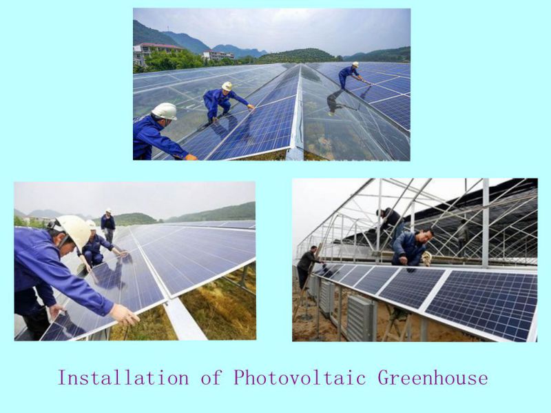 Photovoltaic Greenhouse for Agricultural Farming