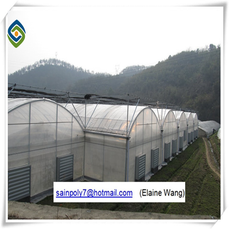 Agriculture Plastic Film for Greenhouse