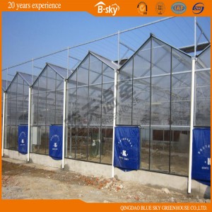 Multipurpose Multi-Span Glass Greenhouse with Long Life-Span