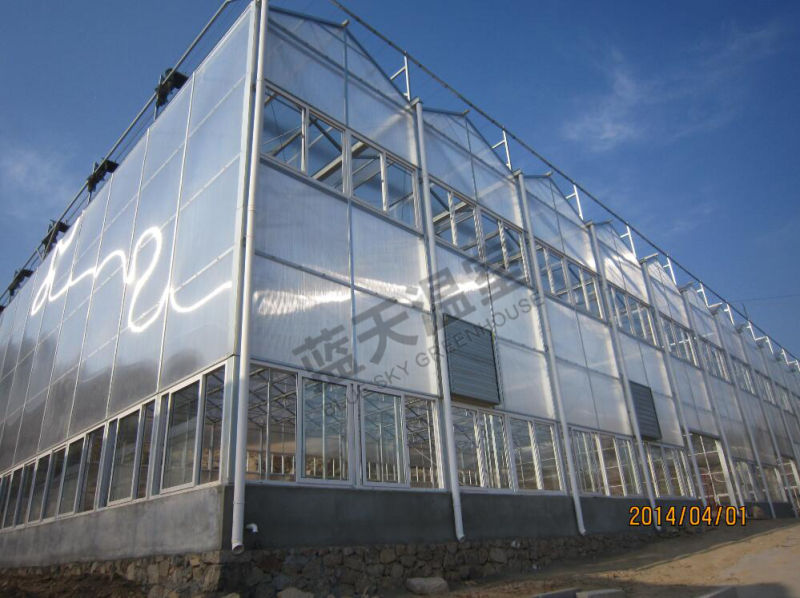 Multipurpose Polycarbonate Sheet Greenhouse