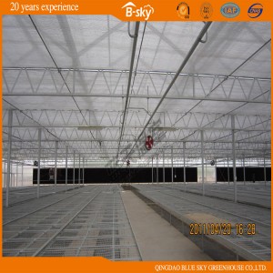 Multi-Span Polycarbonate Sheet Greenhouse