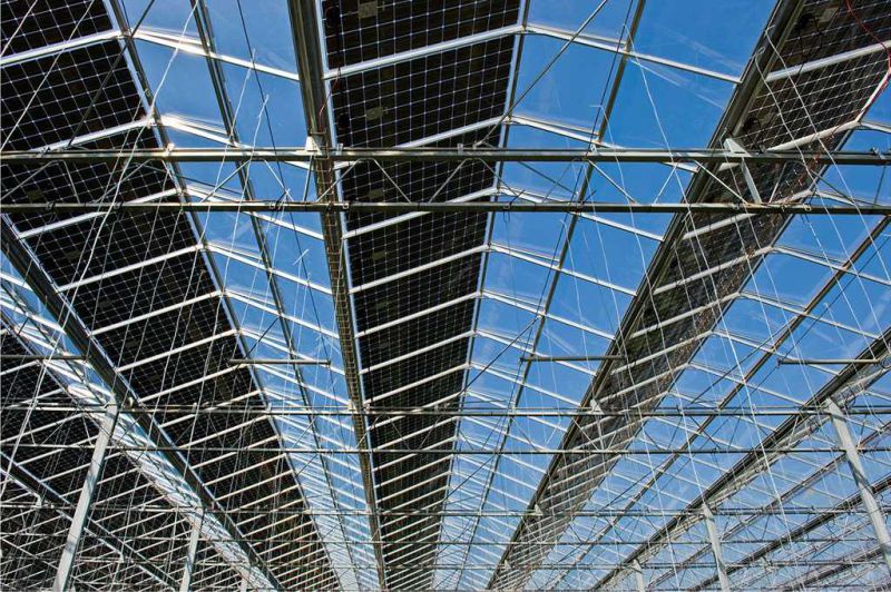 Photovoltaic Greenhouse for Vegetable and Flowers Growing