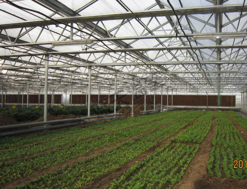 Widely Used Glass Greenhouse for Planting Vegetables and Fruits