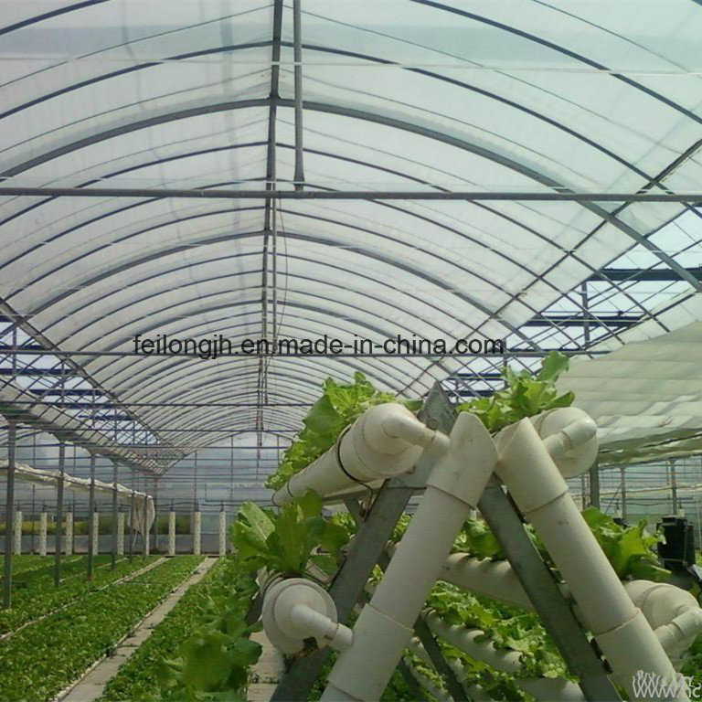 Single Span Tunnel Film Greenhouse