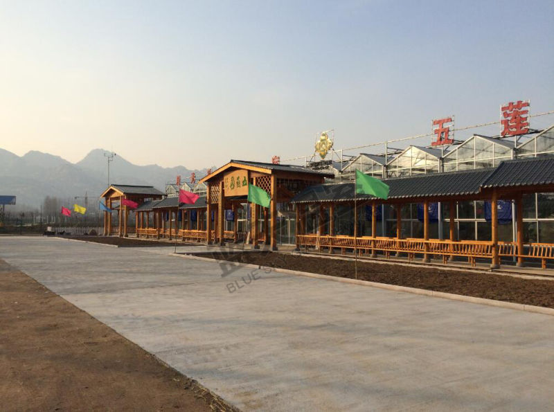 Polycarbonate Sheet Green House