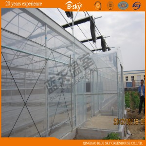 Long Life Span Greenhouse Film Covered for Planting and Seeding