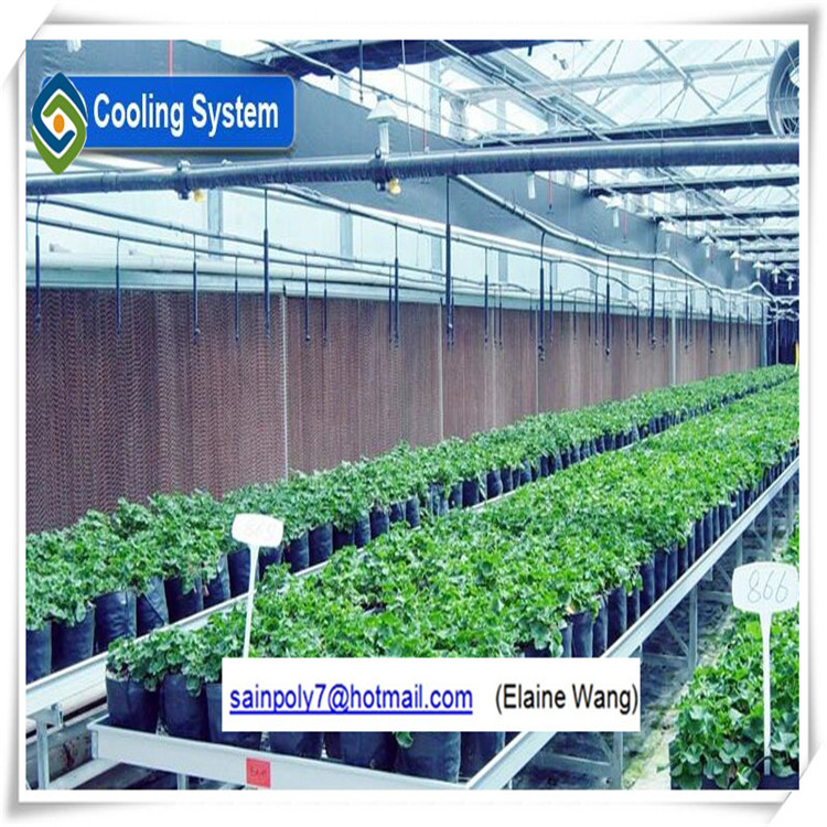 Agriculture Plastic Film for Greenhouse