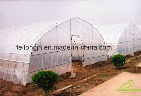 Single Span Tunnel Film Greenhouse