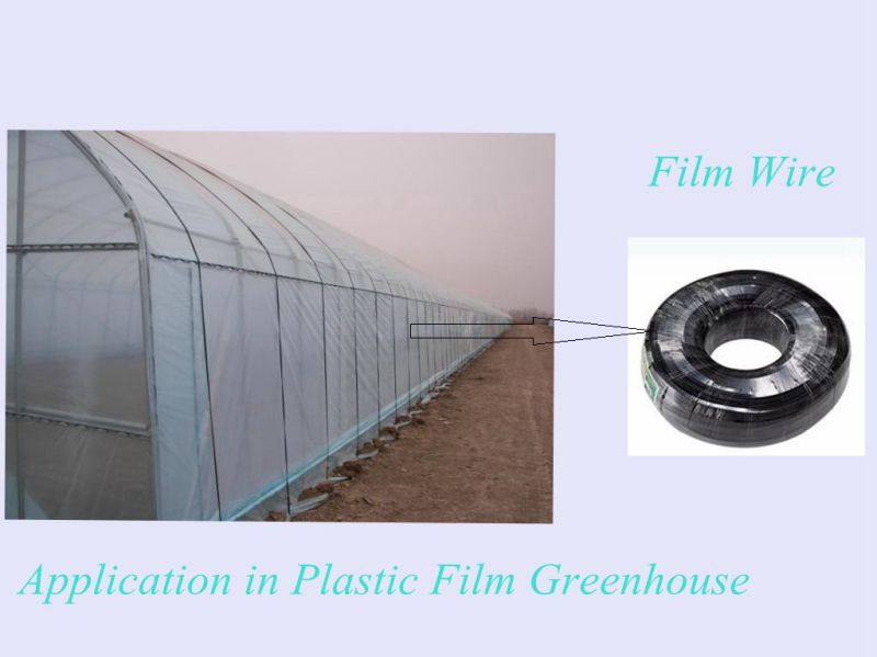 Plastic Film Greenhouse in Film Wire