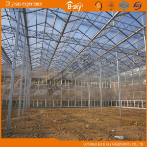 Multipurpose Polycarbonate Sheet Greenhouse