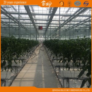 Glass Multi-Span Greenhouse Venlo Structure