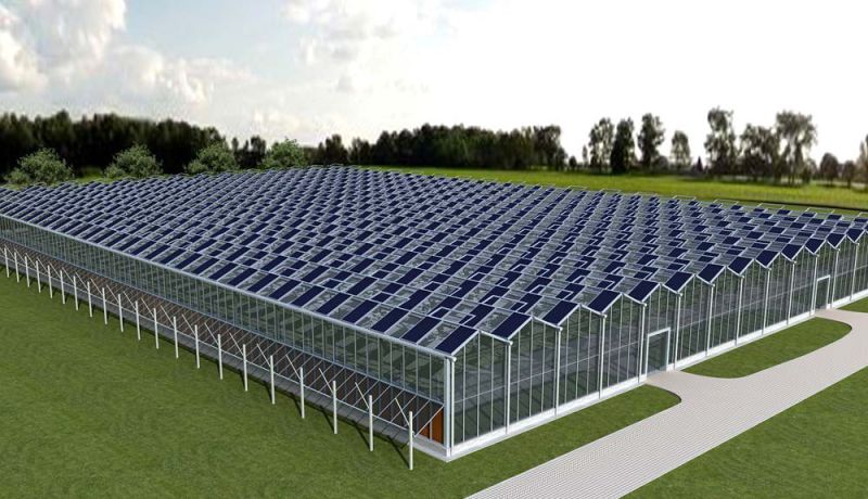 Photovoltaic Greenhouse for Agricultural Farming