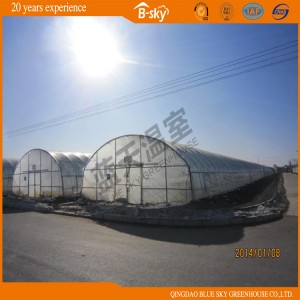 BS-Fgh-069 Plastic Film Greenhouse