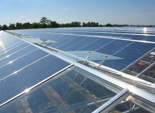 Photovoltaic Greenhouse for Vegetable and Flowers Growing