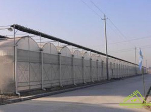 Multi-Span Gothic PC Greenhouse FM90P40