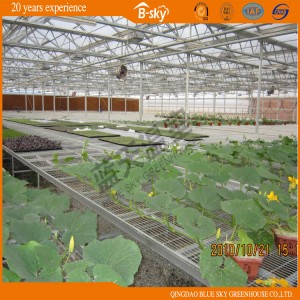 High Production Glass Greenhouse for Planting Vegetables and Fruits