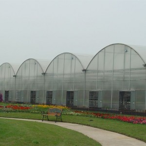 Multi-Span Gothic PC Greenhouse FM90P40